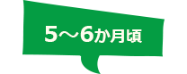 5~6か月頃