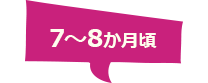 7~8か月頃