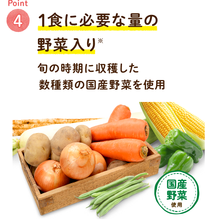 Point4 1食に必要な野菜入り