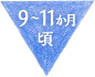9～11か月頃