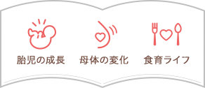胎児の成長 母體(tǐ)の変化 食育ライフ