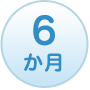 6か月