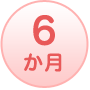 6か月